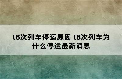 t8次列车停运原因 t8次列车为什么停运最新消息